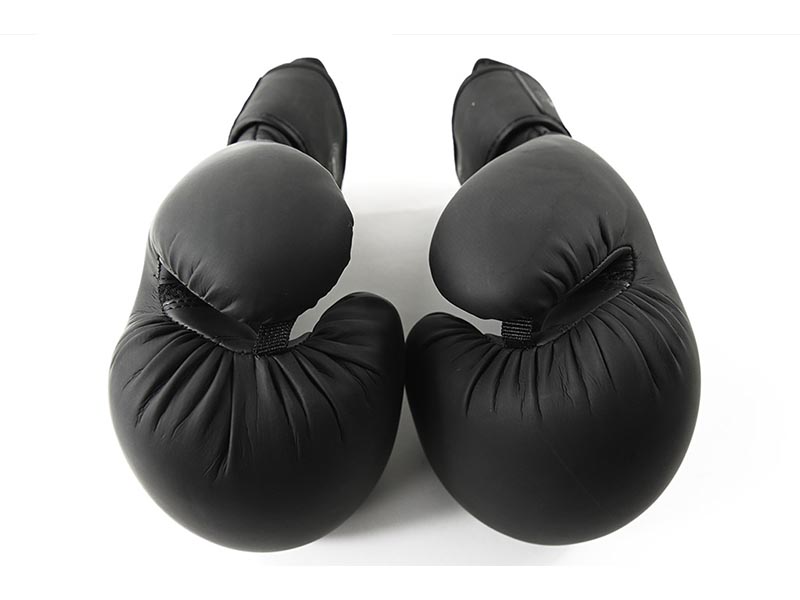 STRIDE Box Handschuhe (paar; 12oz)